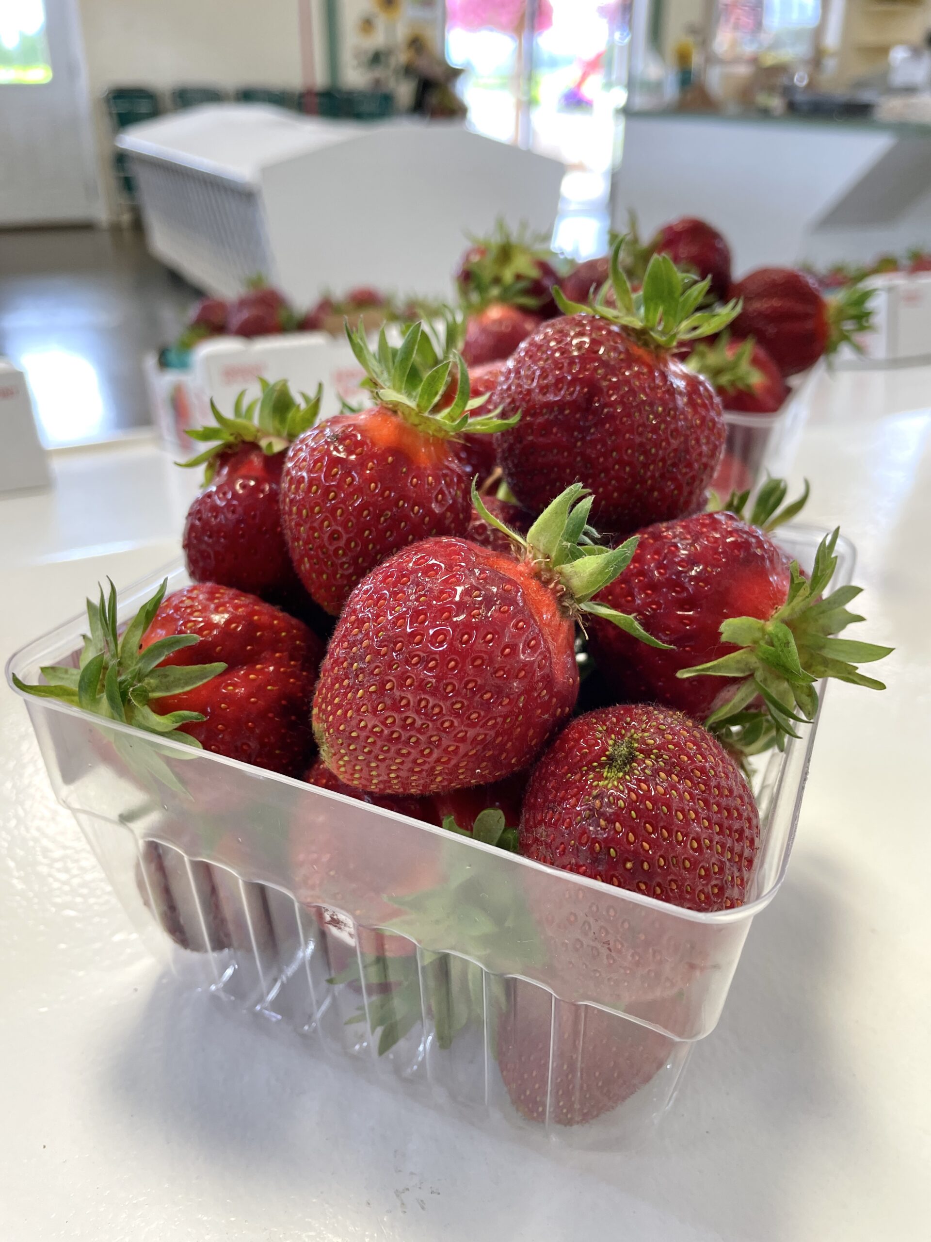 strawberries-in-august-boxx-berry-farm