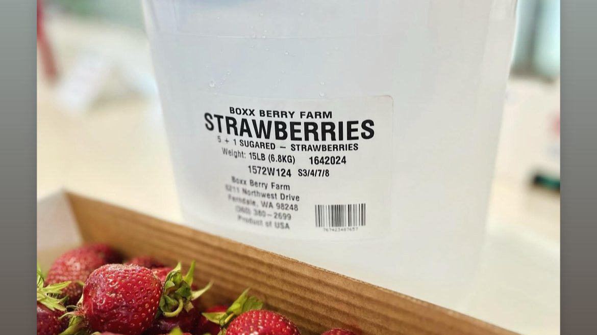 Strawberry Pails