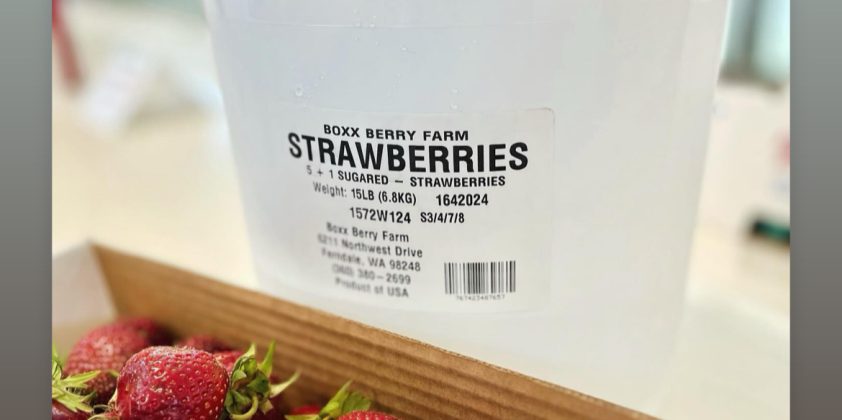 Strawberry Pails