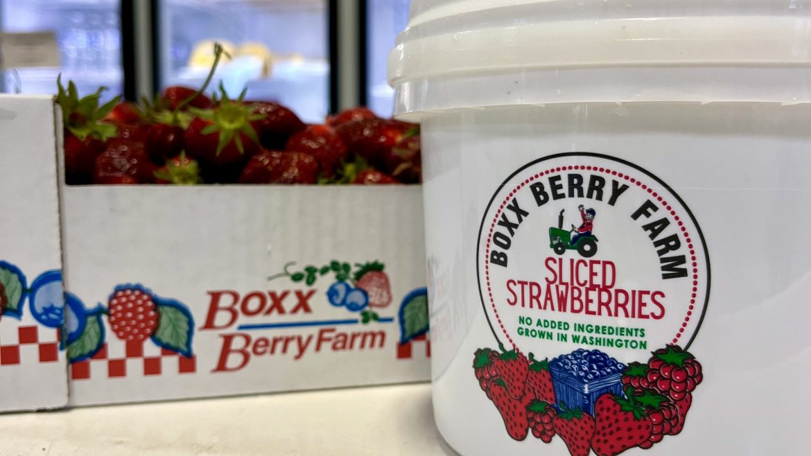 3.5lb Sliced Nonsugared Strawberry Pails – In Stock